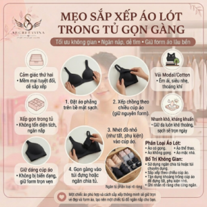 Cách gấp áo lót nữ