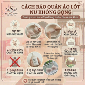 Áo Lót Nữ Không Gọng – Xu Hướng Nội Y Thoải Mái Được Phái Đẹp Yêu Thích